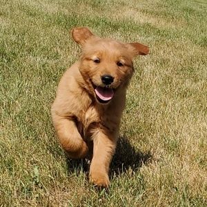 Meet your Posher, Zoey